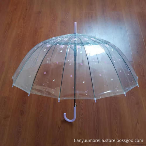 Long Handle Umbrella In Transparent POE Fabric